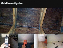 Mold Investigation